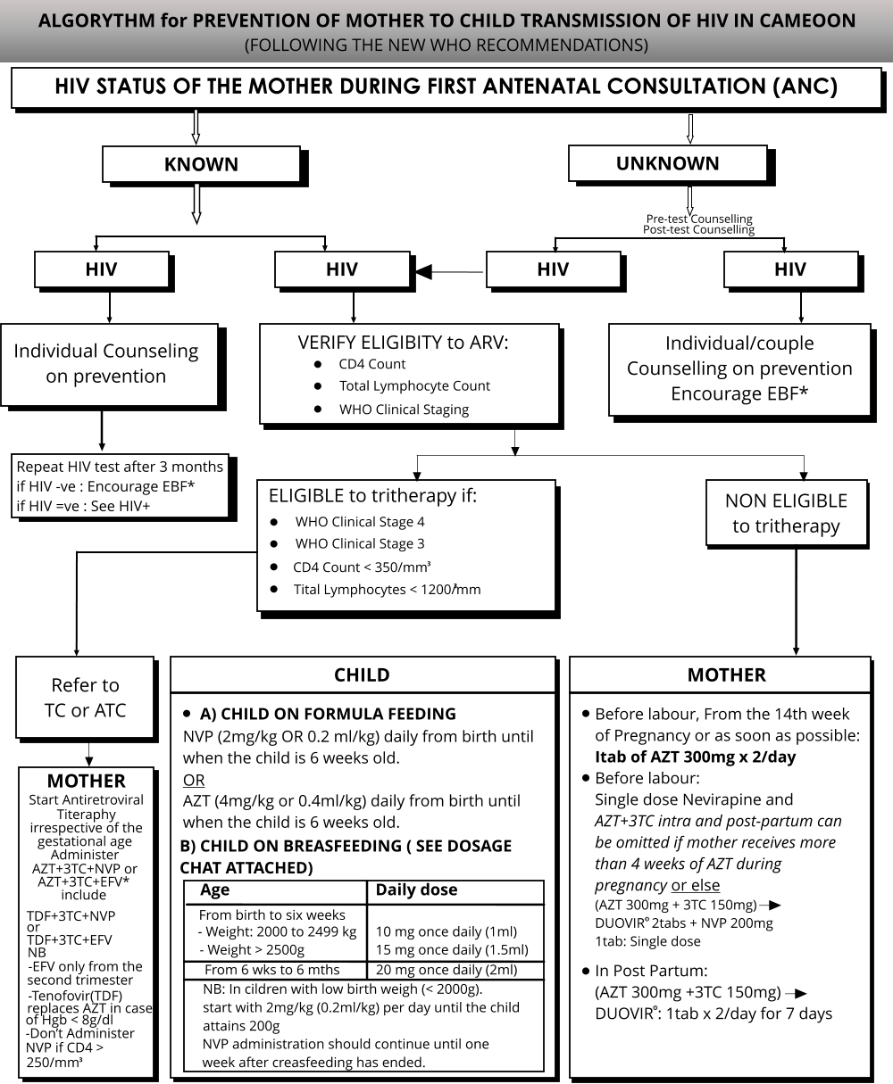 HIV Cameroon Chart